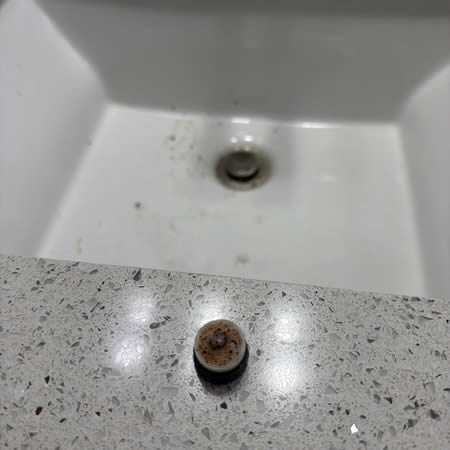 What Are the Most Common Signs You Need Professional Drain Cleaning?