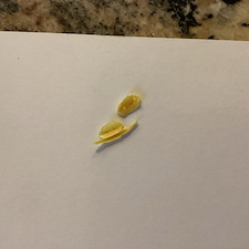 Showerhead-Pressure-Repair-Fernandina-Beach-FL 1