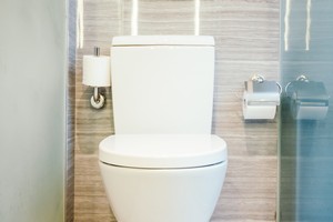Callahan Toilet Replacements