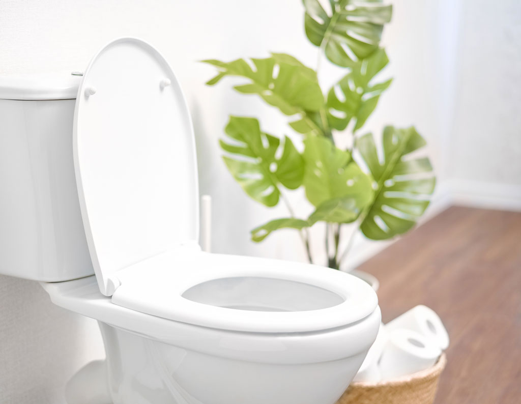 Tips From A Professional Plumber To Help You Get The Right Toilet Flange
