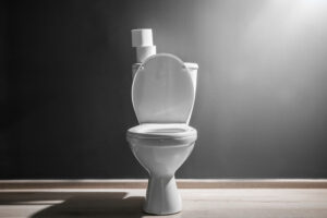 toilet repair and replacement | Florida