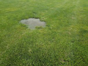 puddle in grass of a yard from a water leak